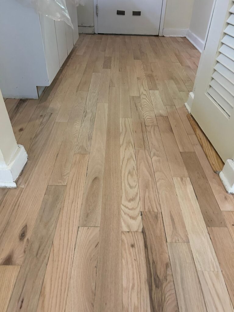 WhatsApp Image 2026-01-13 at 7.19.31 PM (2)